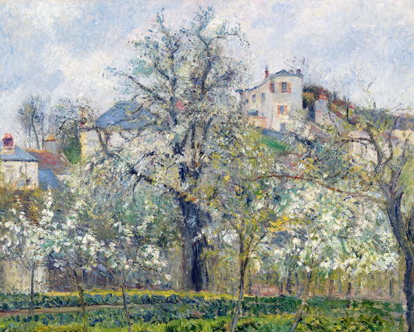 Plakát The Vegetable Garden with Trees in Blossom, Spring, Pontoise