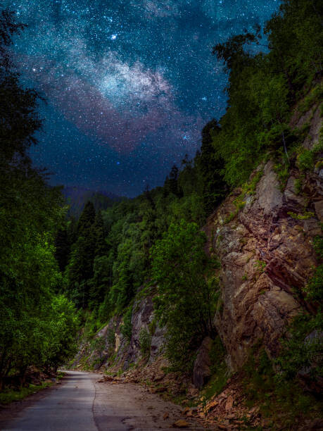 Plakát Trees by road against sky at night,Romania