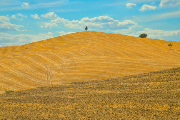 Plakát Val d'Orcia, Tuscany, Italy