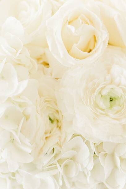 Plakát Vertical top view of a beautiful