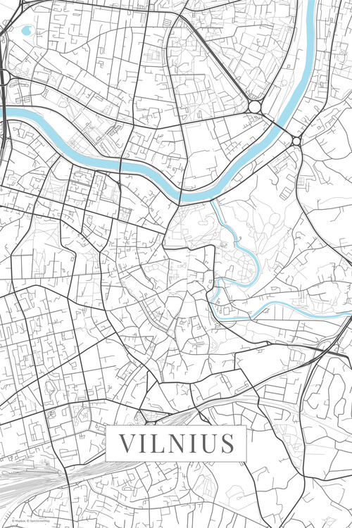 Plakát Vilnius white