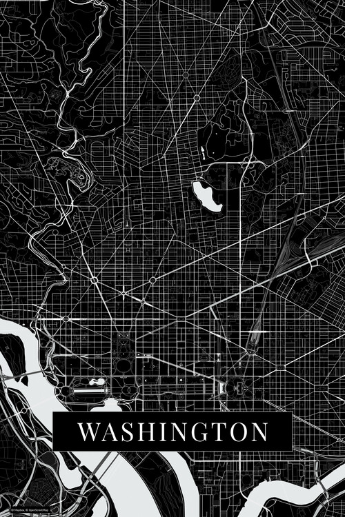 Plakát Washington black