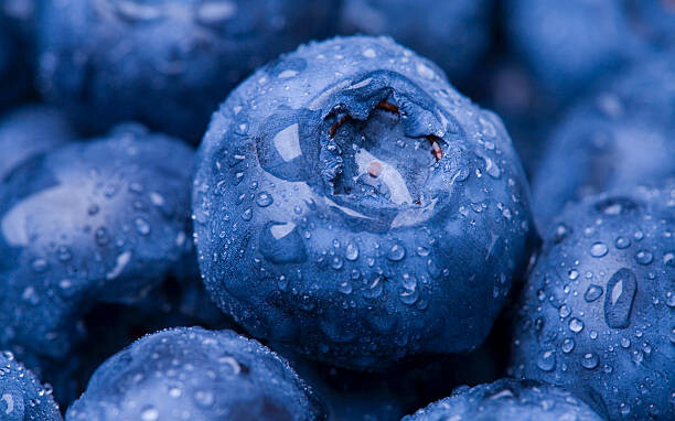 Plakát Wet Blueberry Closeup