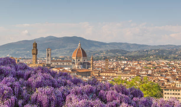Plakát Wisteria Hysteria