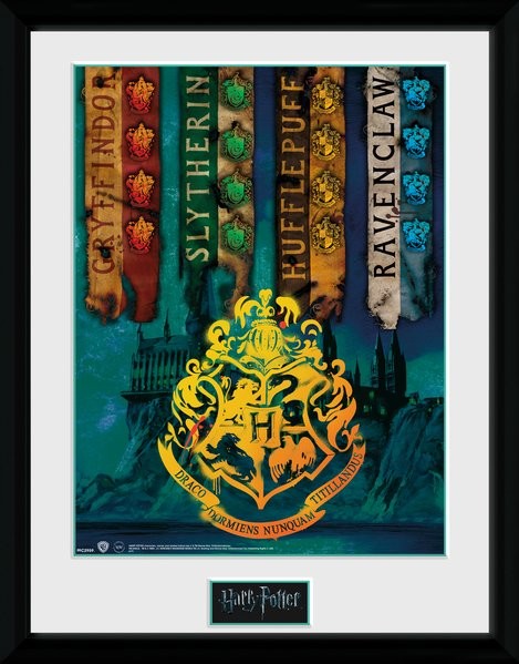 Hufflepuff  Harry potter poster, Harry potter houses, Harry