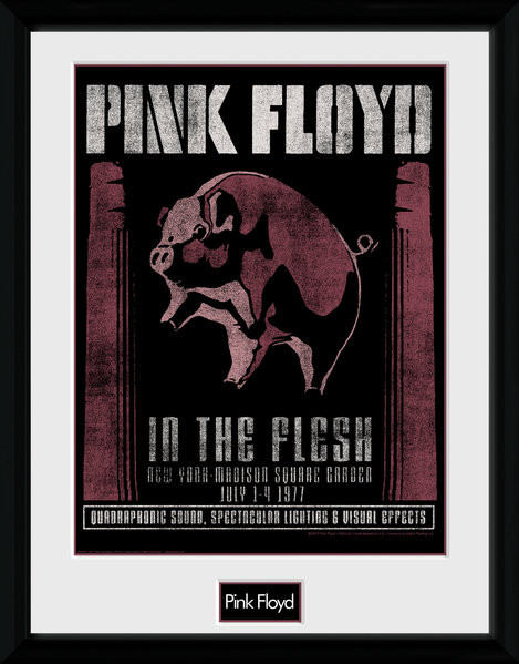 Pink Floyd - 1977 Framed poster