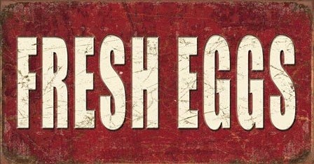 Plechová cedule Fresh Eggs