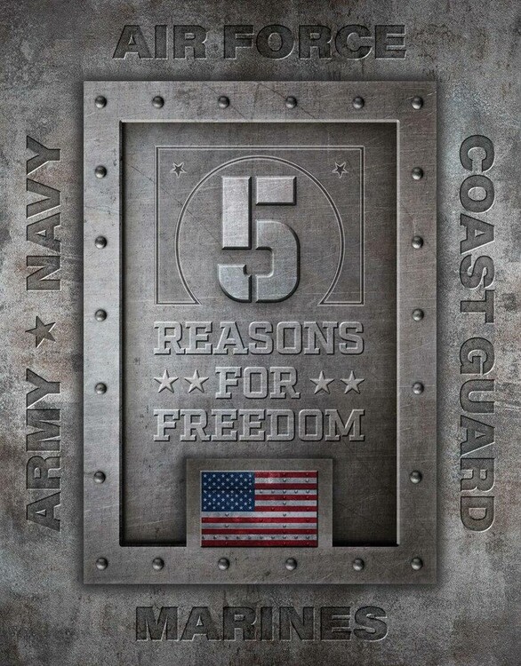 Plechová cedule 5 Reasons for Freedom