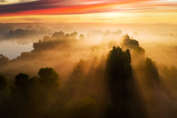 Obraz na płótnie Beautiful misty dawn in the spring