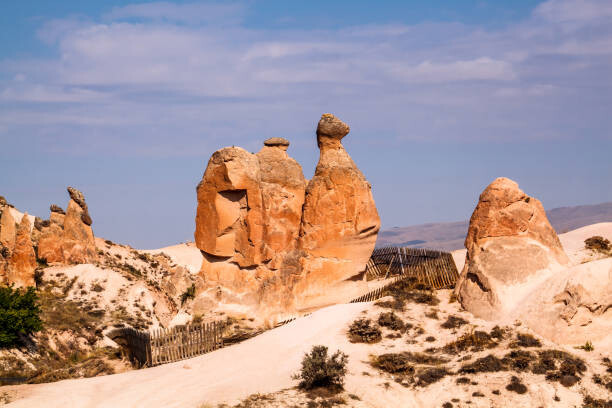 Obraz na płótnie Camel Rockin Devrent Valley at Cappadocia.