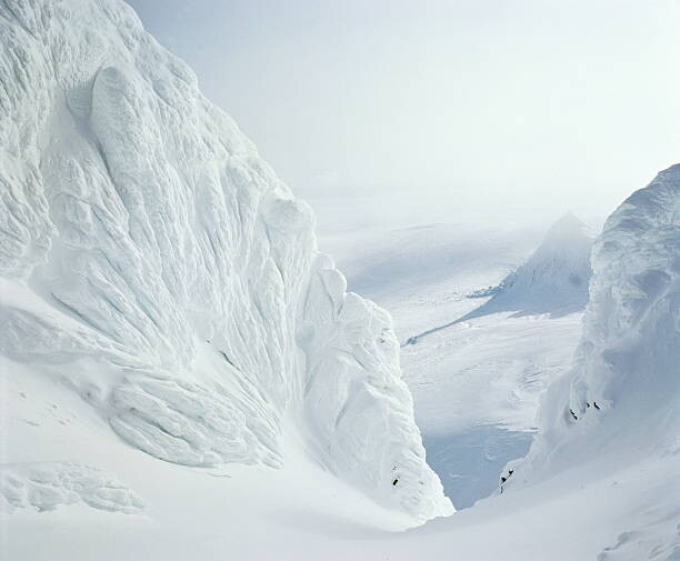 Obraz na płótnie Cauliflower ice formations in snow-covered landscape