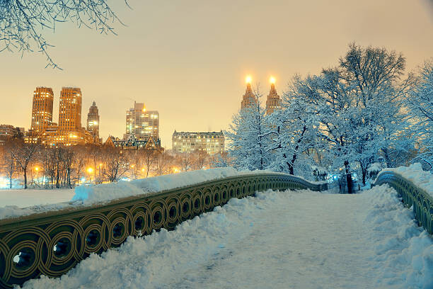 Obraz na płótnie Central Park winter