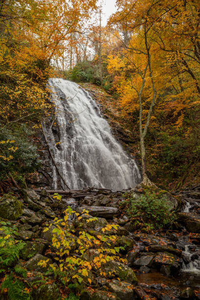 Obraz na płótnie Crabtree Falls