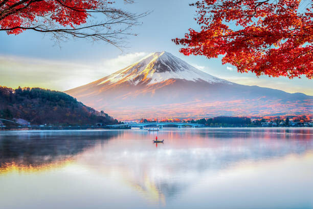 Obraz na płótnie Fuji Mountain , Red Maple Tree