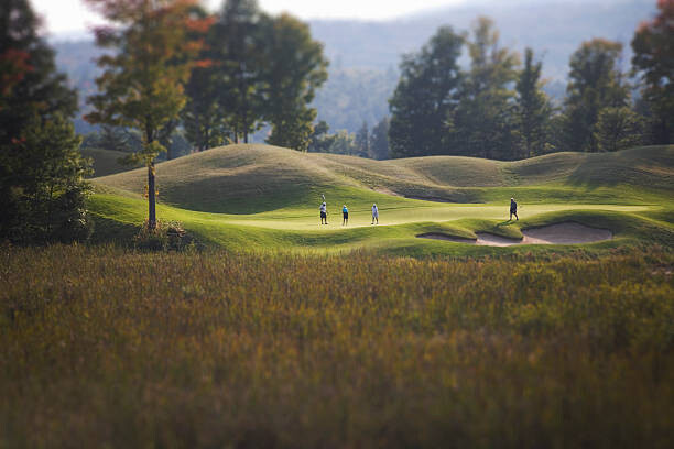 Obraz na płótnie golfers golfing on a golf course