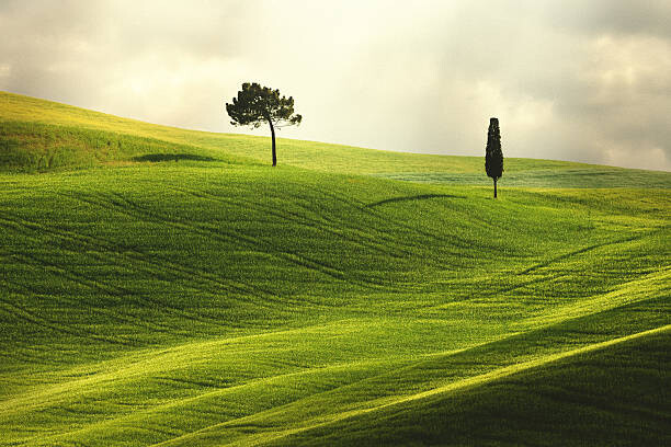 Obraz na płótnie Landscape in Tuscany