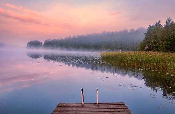 Obraz na płótnie Morning Swim