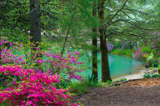 Obraz na płótnie Spring FLowers -and Lake view--Gibson County