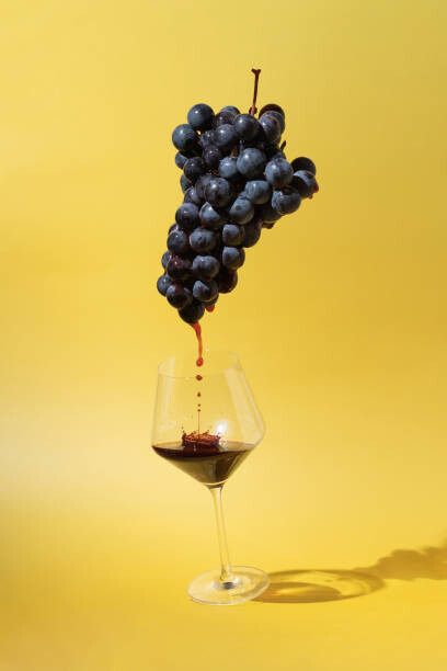 Obraz na płótnie Still life with black grapes and