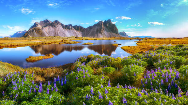 Obraz na płótnie Stokksnes cape in Iceland