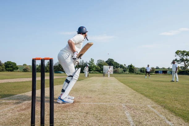 Obraz na płótnie Sunny Cricket Moments