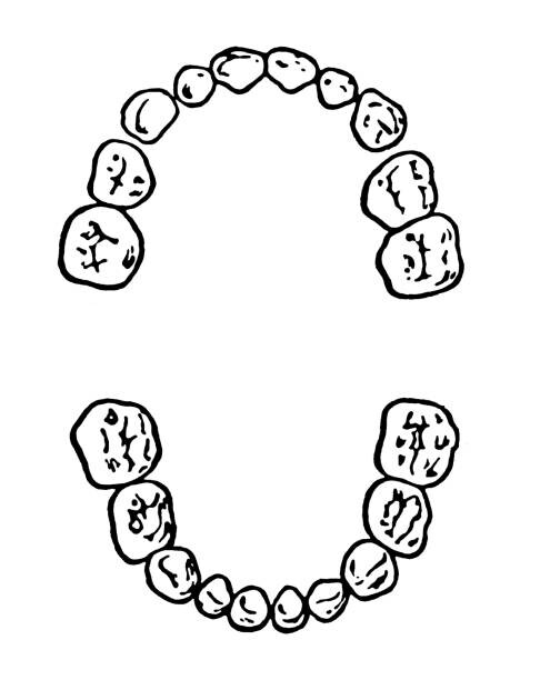 Obraz na płótnie Teeth