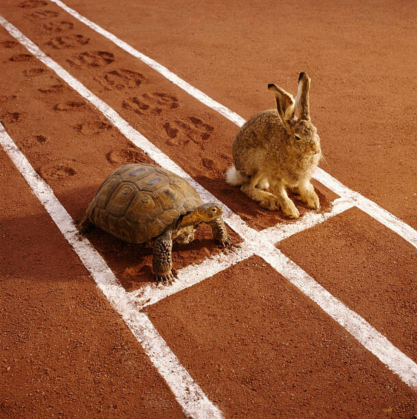 Obraz na płótnie TORTOISE AND HARE ON TRACK