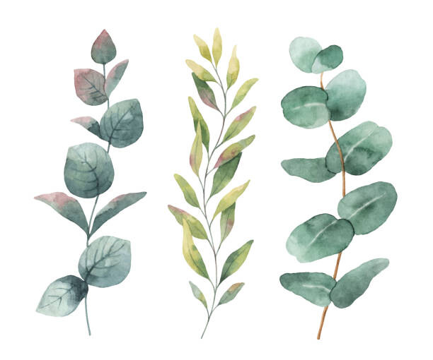 Obraz na płótnie Watercolor hand painted vector set with