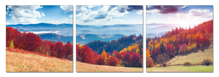 Obraz Pohled na krajinu