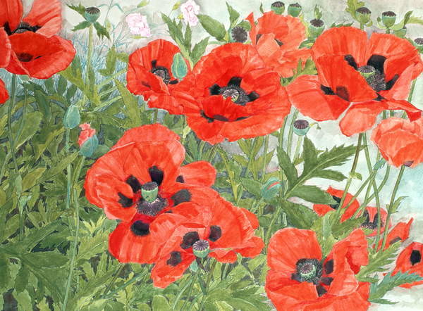 Tričko Poppies