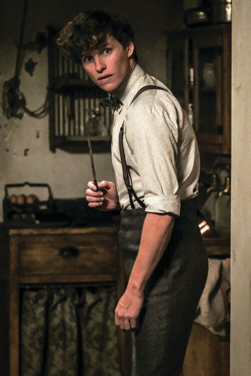 Carta da parati Animali fantastici - Newt