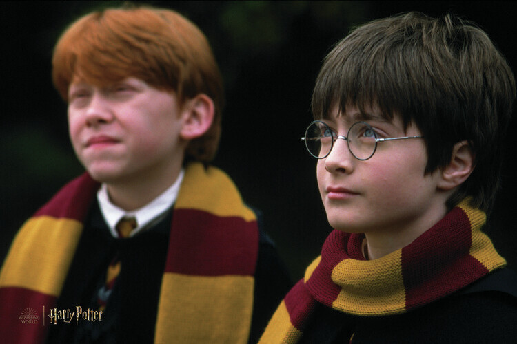 Carta da parati Harry Potter and Ron Weasley