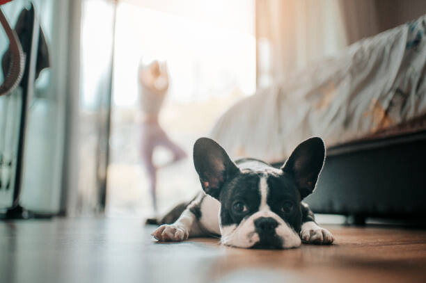 Poster an asian chinese beautiful woman practicing