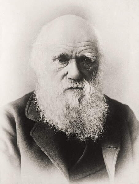 Poster Charles Darwin