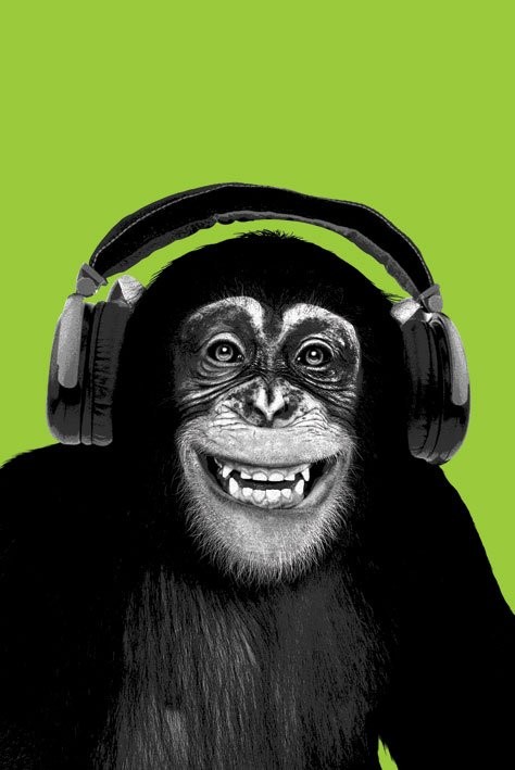 Chimpanzee headphones Poster
