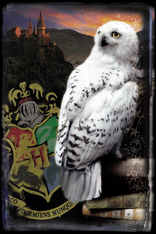 Carta da parati Harry Potter - Hedwig