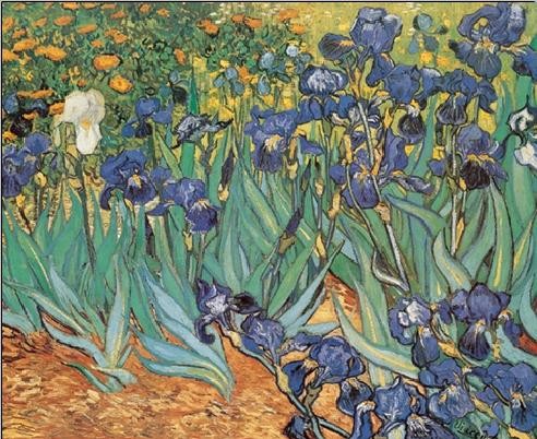 Irises, 1889 Kunstdruk