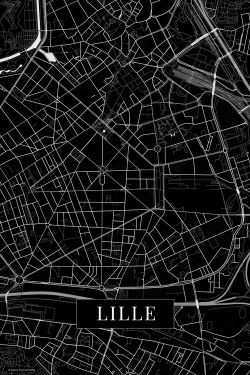 Carta da parati Lille black