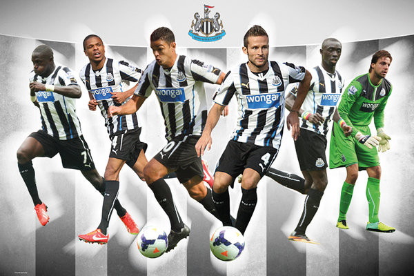 Poster, Quadro Newcastle United FC - Players 13/14 su Europosters