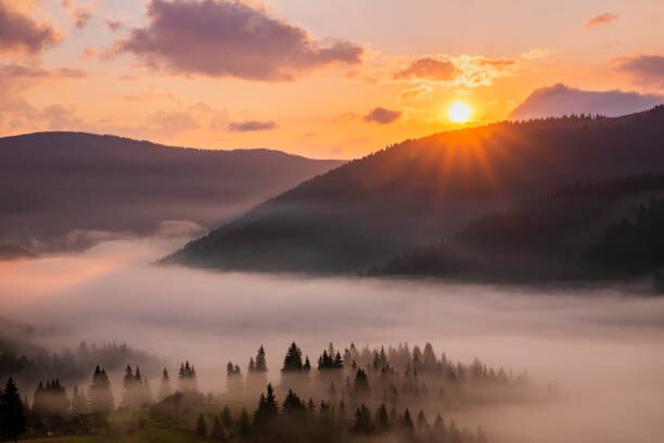 Poster Panorama of a misty dawn in