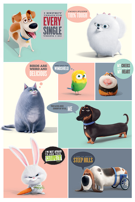 Pets - Boxes Poster, Plakat | Kaufen bei Europosters