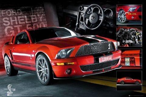 Poster Red Mustang