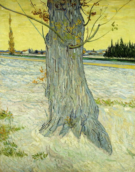 Poster The Old Tree; Le Vieil If, 1888