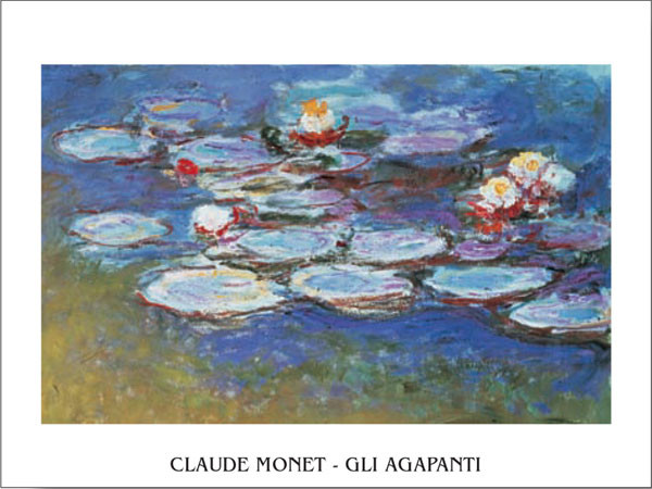 Water Lilies (Agapanthus) Kunstdruk