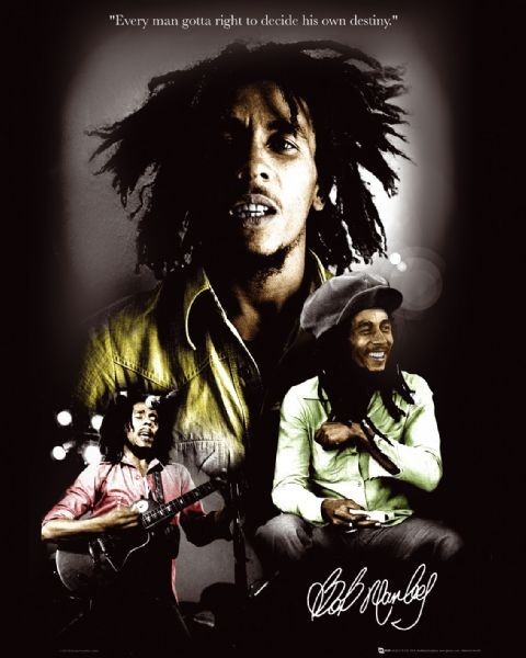 Poster Bob Marley - destiny