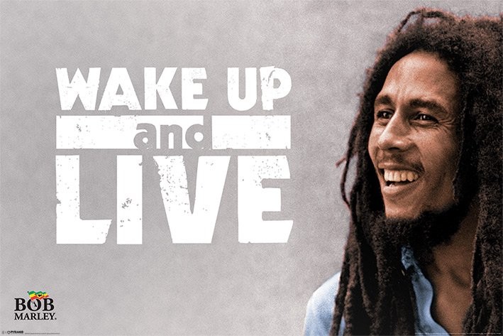 Bob Marley - Wake Up and Live Poster și Tablou 