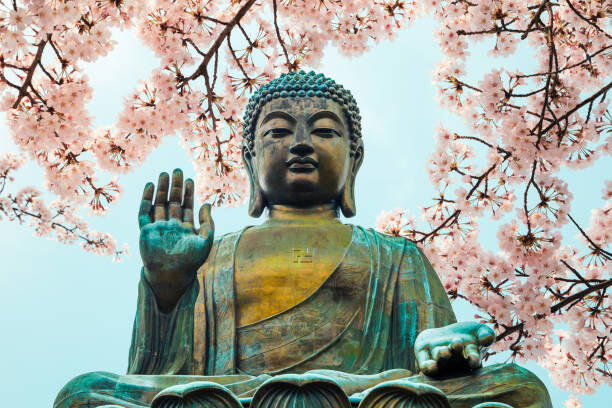 Poster Buddha statue with cherry blossom in