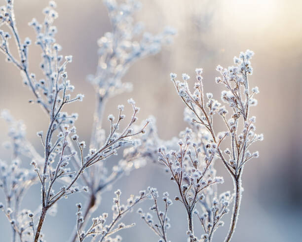 Poster Close-Up Of Snow Against Sky