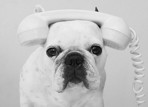 Poster Communicating