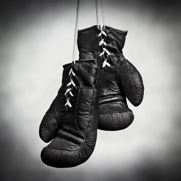 Poster Laced boxing gloves